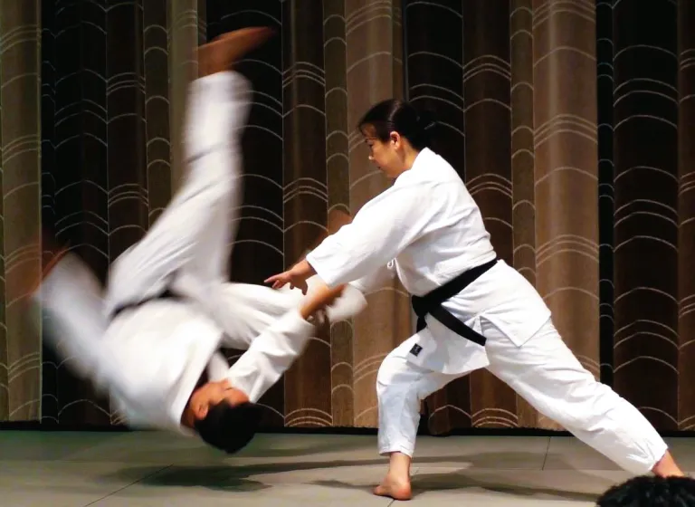 aikido 01
