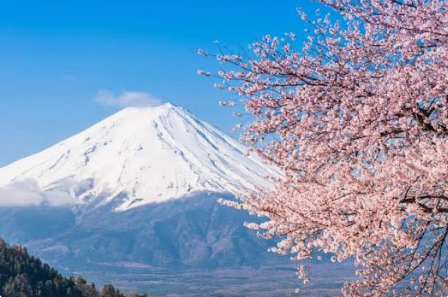 fuji